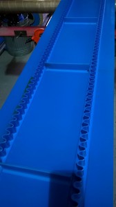 Sidewall Belt 2 (1)